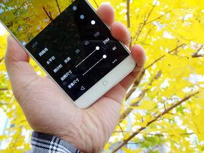 手机看片在线国产